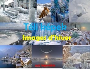 images_d_hiver_consul