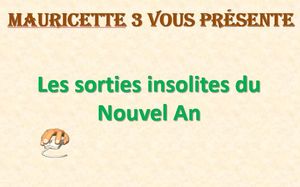 les_sorties_insolites_du_nouvel_an_mauricette3